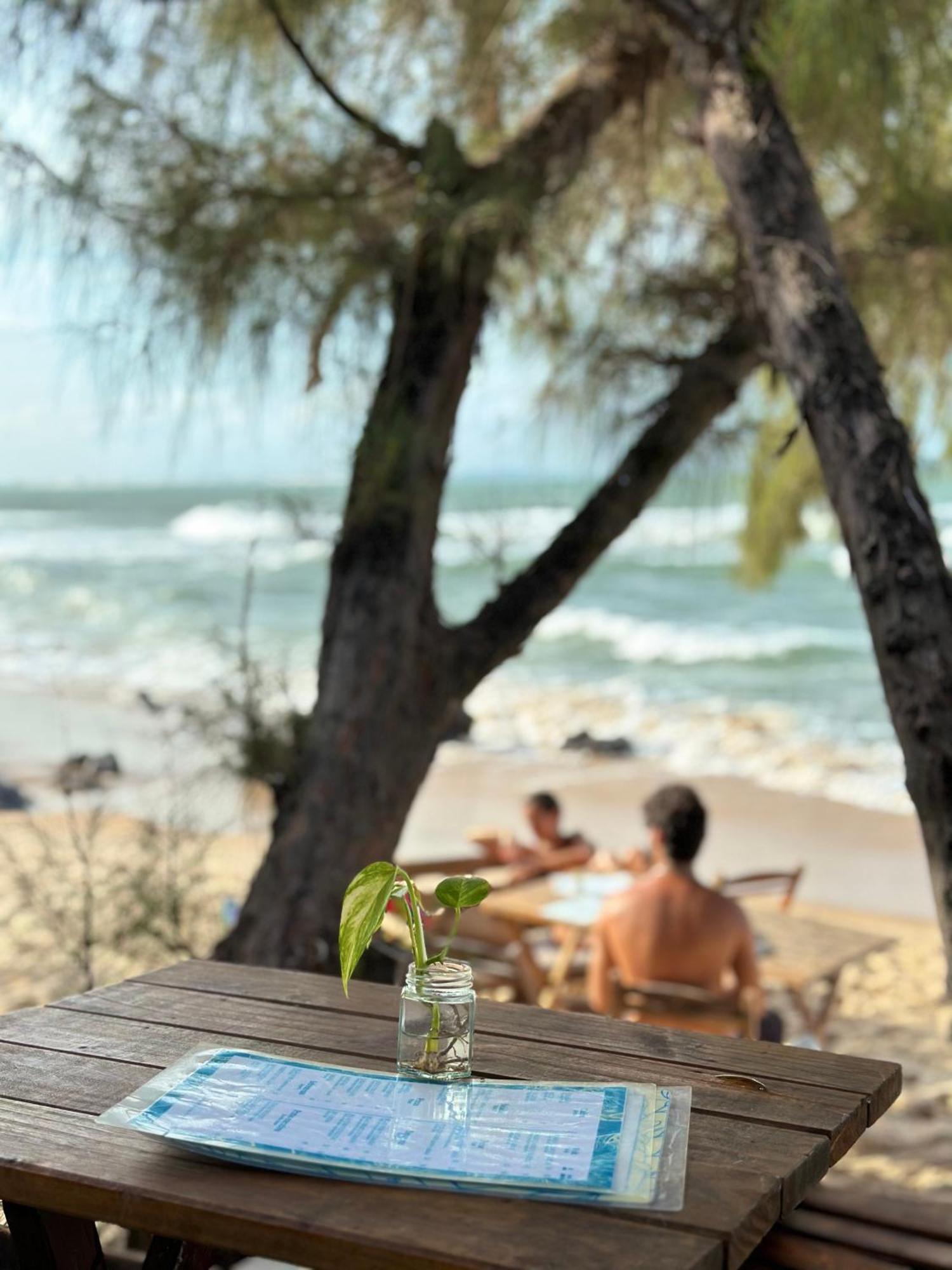 Pousada Paraíso das Tartarugas Praia de Pipa Bagian luar foto