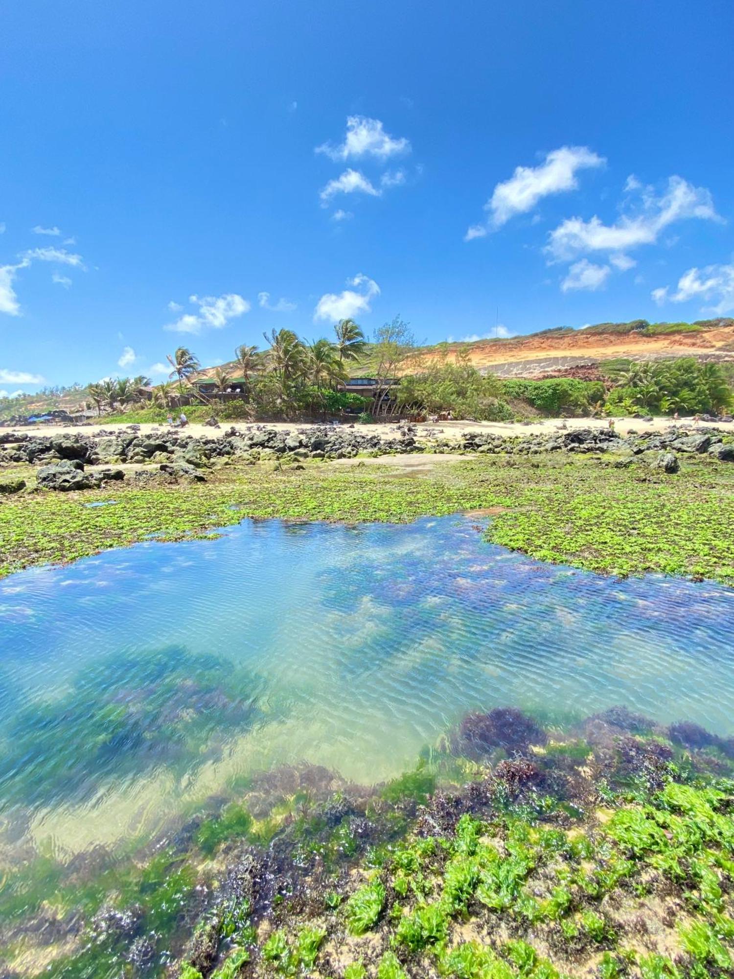 Pousada Paraíso das Tartarugas Praia de Pipa Bagian luar foto